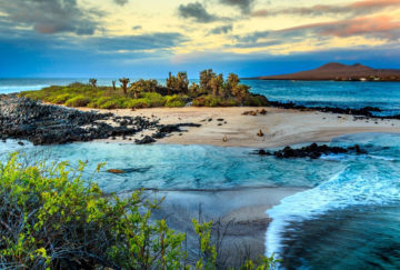 Viaje de novios a Ecuador e Islas Galápagos - Islas Galápagos