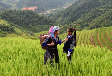Viaje de novios Vietnam - Trekking en Sapa